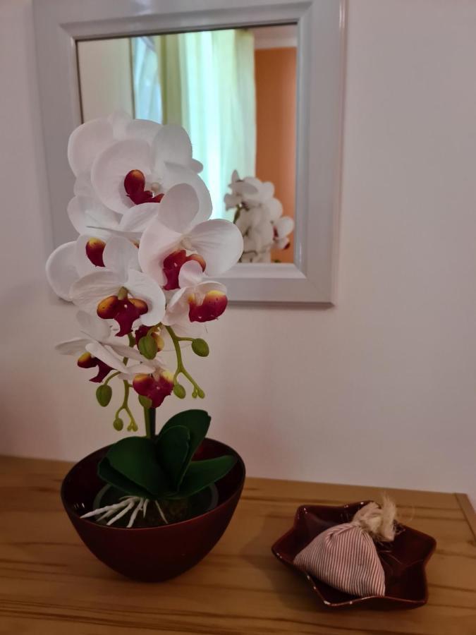 Apartmán Antonio Opatija
